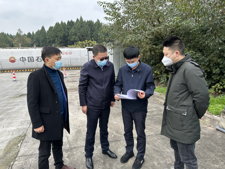 广南公司党委书记、董事长梁平带队开展生态环保专项检查1.png